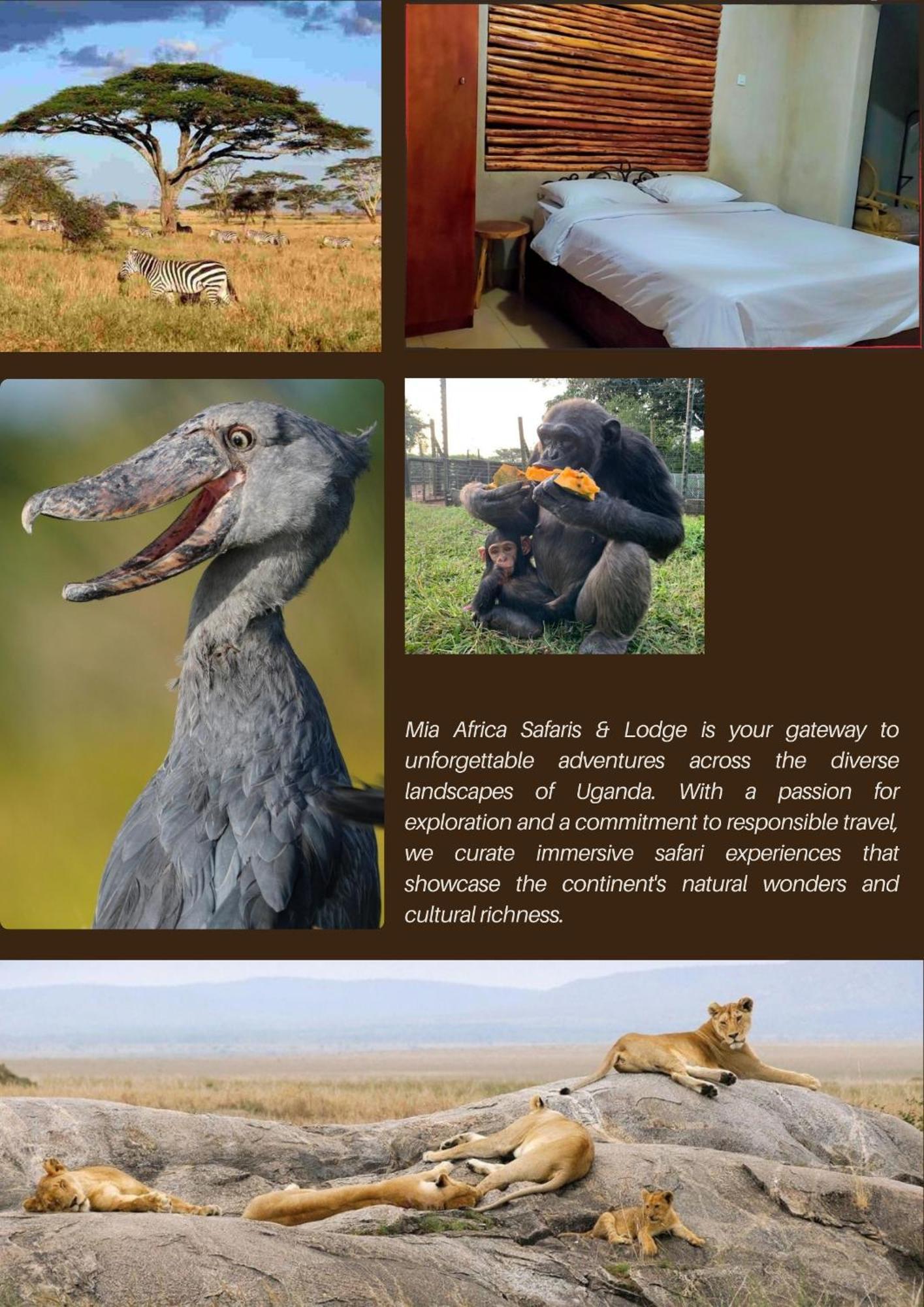 Mia Safari Lodge And Restaurant عنتيبي المظهر الخارجي الصورة